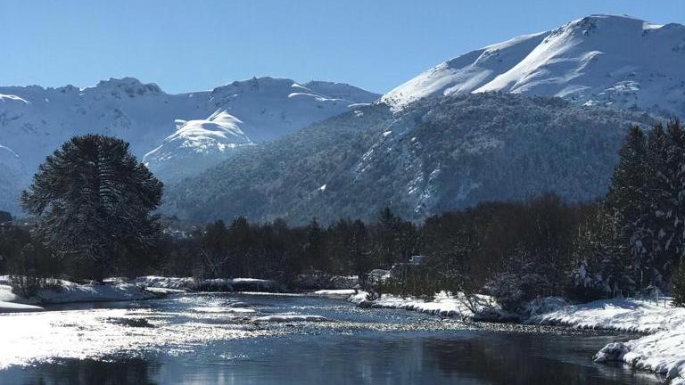 Miradores de Pehuenia